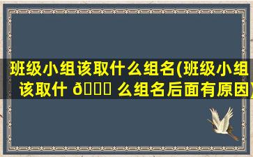 班级小组该取什么组名(班级小组该取什 🕊 么组名后面有原因)